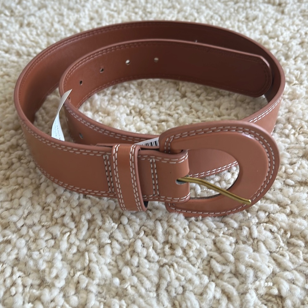 Target large buckle belt